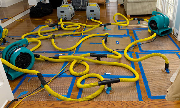 Professional Sewage Cleanup technician working in Litchfield, MI